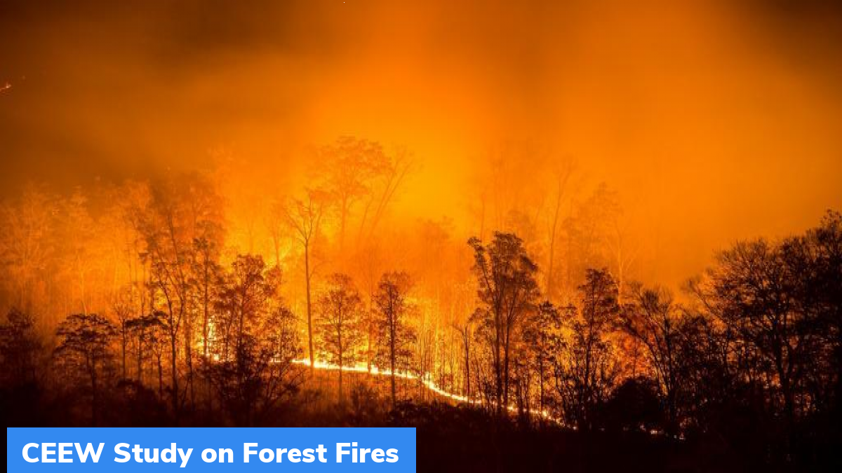 जंगल की आग पर सीईईडब्ल्यू अध्ययन
