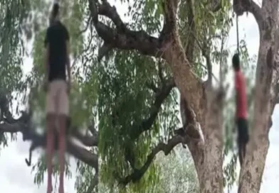 पेड़ पर 2 दोस्तों की फांसी पर लटकती मिली लाश