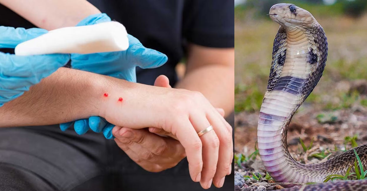 साँप काटने से एक मासूम बच्चे की मौत