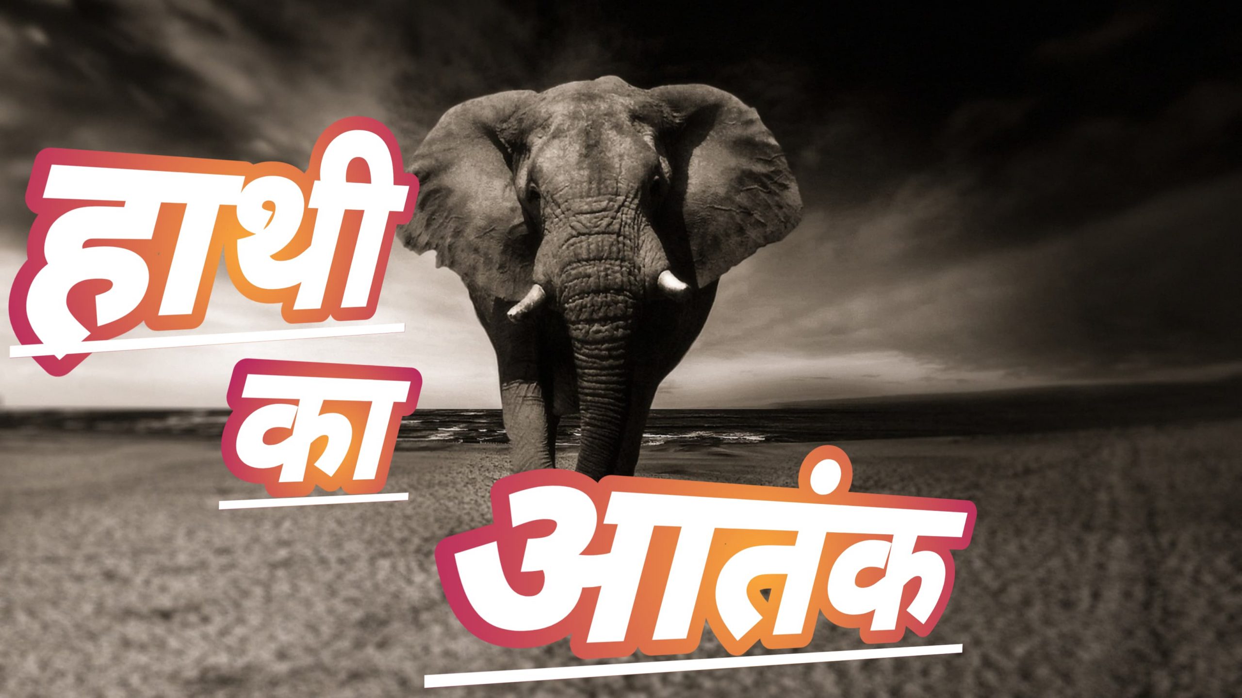 मैनपाट में हाथी के हमले से ग्रामीण की मौत