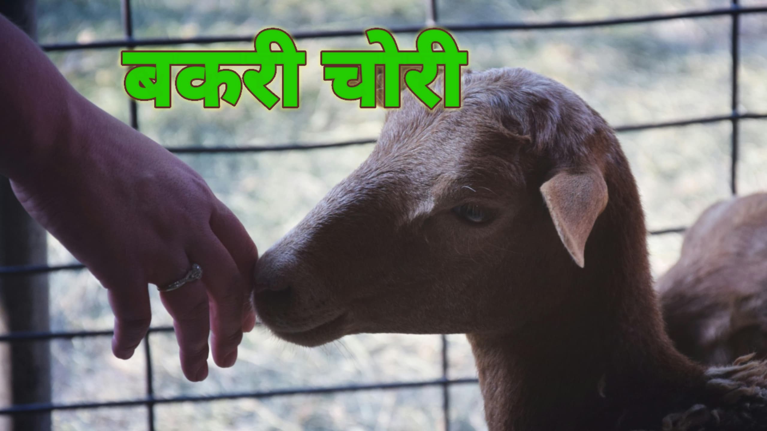 बकरी चोरी की ताजा घटना ने ग्रामीणों को किया चिंतित