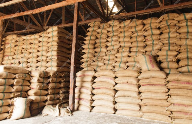 राज्य सरकार ने धान खरीदी के लिए तैयारियाँ पूरी की, 3100 रुपये प्रति क्विंटल समर्थन मूल्य